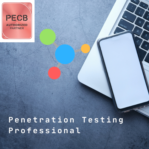 Penetration Testing Professional